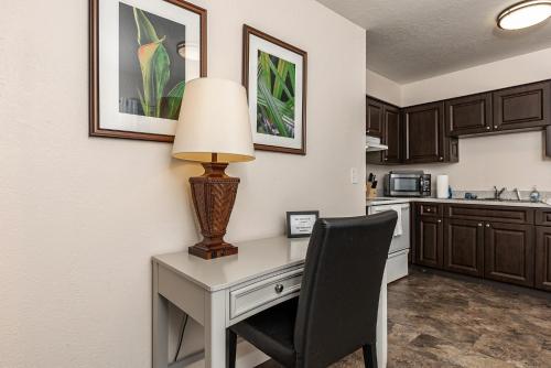 Luxurious 2 bedroom near Innisbrook Golf Resort! in Tarpon Springs (Florida)