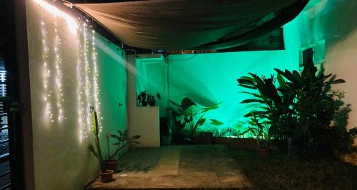 La PUNTA ZICATELA PXM La PUNTA ZICATELA PXM