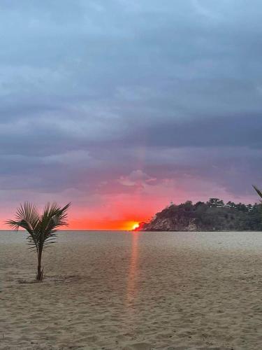 La PUNTA ZICATELA PXM La PUNTA ZICATELA PXM