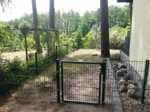 Ferienhaus Waldschneise A am Jabeler See in Jabel