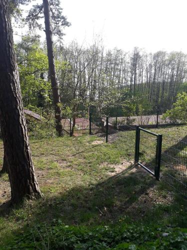 Ferienhaus Waldschneise A am Jabeler See in Jabel