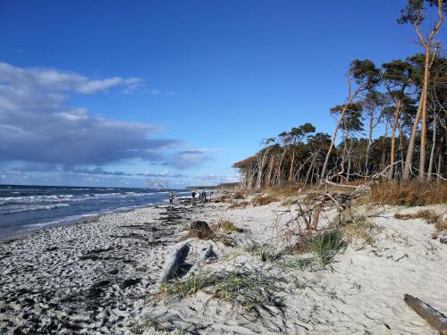 Anna 2 180m von Rosenberg-Siedlung entfernt