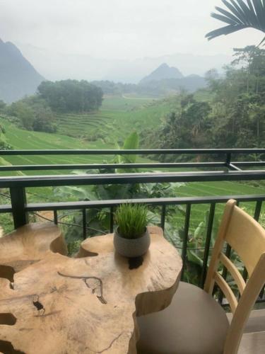 Puluong Aroma - image 5