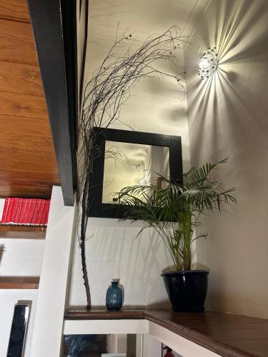 Garden House Trastevere, Рим (фото 8)
