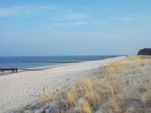 Möwe App 510 in Zingst, Deutschland