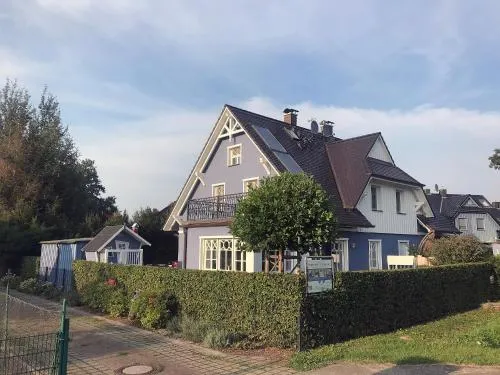 Die Kornblume in Zingst, Deutschland