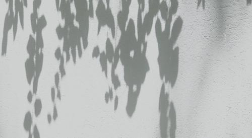 로이즈 인