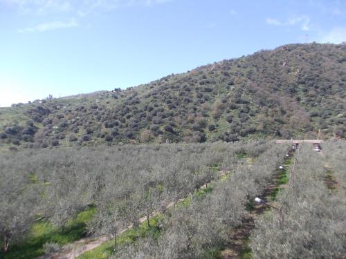 Cuntarati - Nature Tourism Simeto Etna