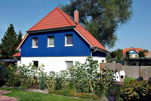 Küstentied in Zingst, Deutschland