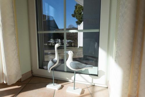 Eden 02, Zingst (photo 2)
