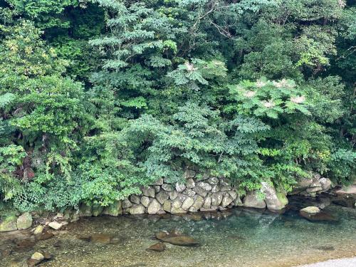 シーラニ白浜荘 - Tap to explore photos