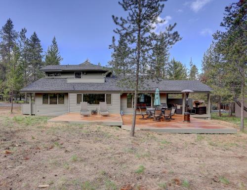 16 Yellow Pine - image 5