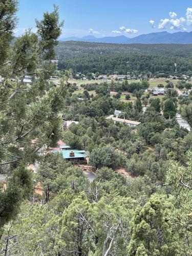 Glass House Elk Rim Pine