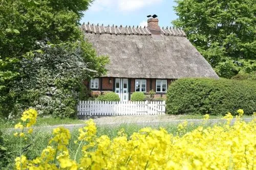 Reetdachkate Landlust in Esgrus, Deutschland