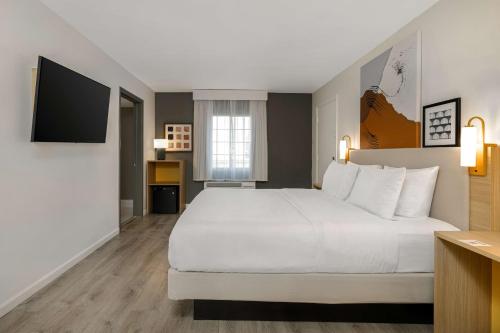 1 king bed