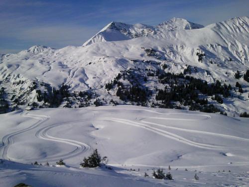 Ferienwohnung 4 Bett KinderfreundlichTraumpanoramaLenk - [#94390] - image 10