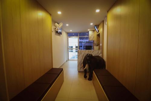 ردهة, Hotel Eastern in سلطان باتاري