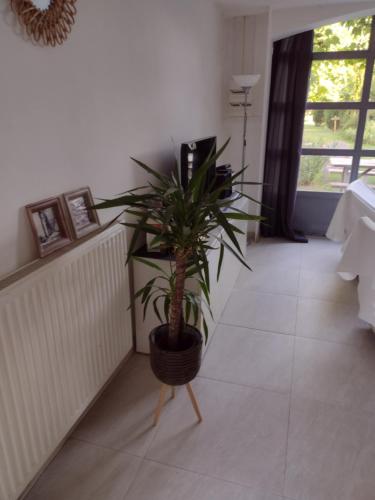 Gîte cocooning avec piscine (Gite cocooning avec piscine) in Chanas