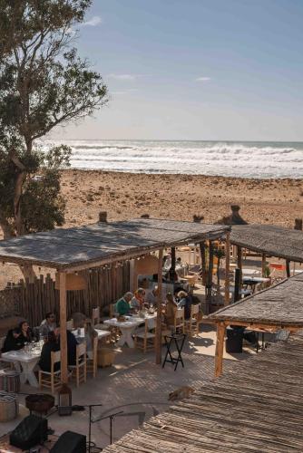 Iekārtas, La Mouette et les Dromadaires in Sidi Kaouki