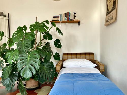 Buonocore Guesthouse, Bergamo (photo 7)