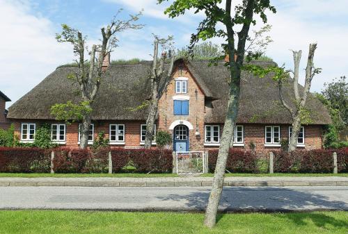 Inseltraum-Strandläufer - [#106459] - image 14