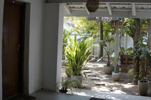 Avalon, Weligama (foto 8)