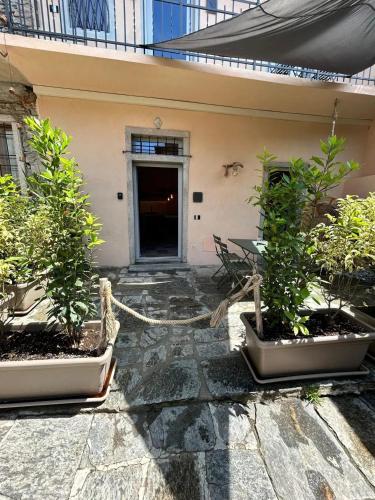 Lovely Apartment in Tapigliano, 80 m² with Terrace in 內比烏諾