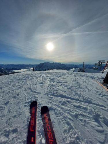 瓦格纳霍夫农庄 瓦格纳霍夫农庄