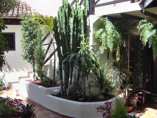 Apartment mit kleiner Innenhof-Terrasse im mediterranen Stil in อีกอด เด โลส บิโนส