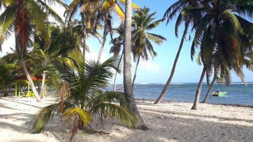 Surrounding environment, Chambre Maison Kumba in La Desirade