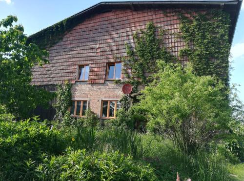 . Ferien in der Scheune