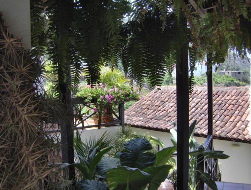 Apartment im englischen Stil mit Meerblick - [#120169] - image 3