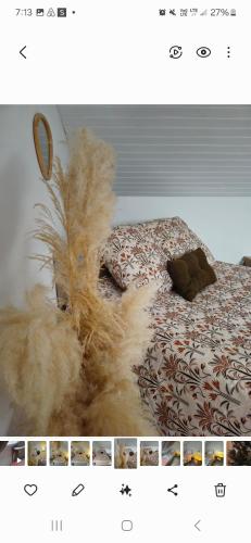 La Vérénidrey, chalet 3 chambres gîte à louer Saint-Pierre-sur-Vence