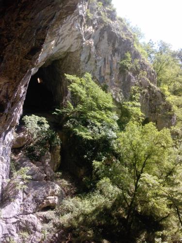 奥斯特利贾纳普拉尼尼住宿加早餐旅馆