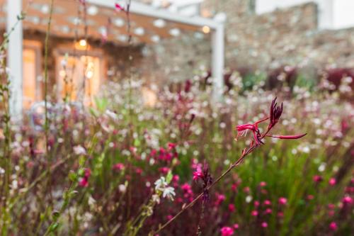 The Mykonist Executive Villa Elia Beach The Mykonist Executive Villa Elia Beach