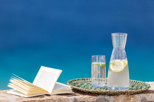 The Mykonist Executive Villa Elia Beach The Mykonist Executive Villa Elia Beach