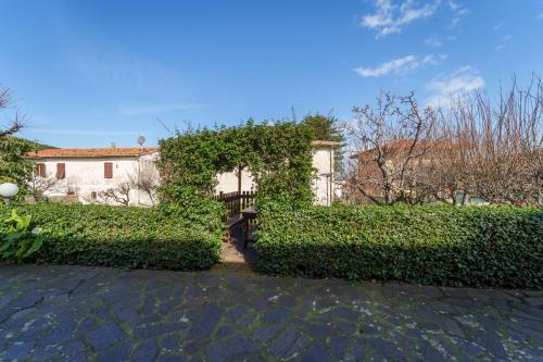 Appartamento l' Edera - main image