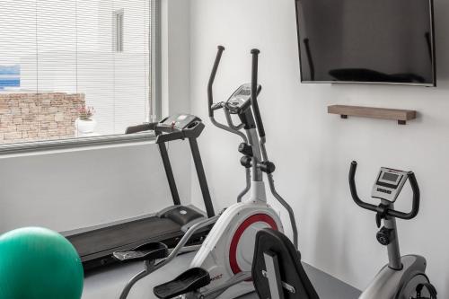 The Mykonist Executive Villa Elia Beach The Mykonist Executive Villa Elia Beach