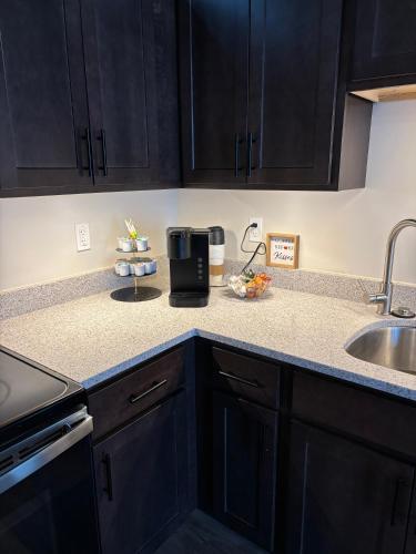 New Luxury Downtown 1 Bedroom Condo 201 thumb 3