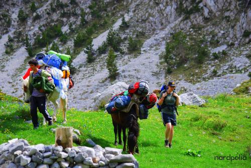 Bujtina Polia – Theth, KY
