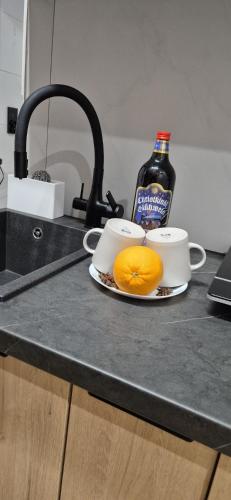 Apartament Exclusive Premium Sielpia w Sielpi Wielkiej z jacuzzi na życzenie (Apartament Exclusive Premium Sielpia w Sielpi Wielkiej z jacuzzi na zyczenie) in Sielpia Wielka