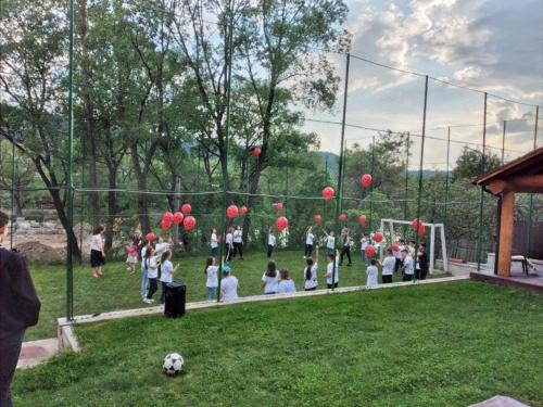 Vila Iulia - image 6