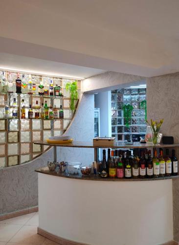 Vila Iulia - image 3