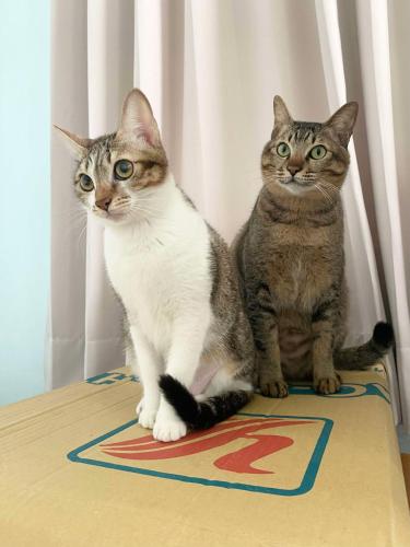 汝好民宿 汝好民宿