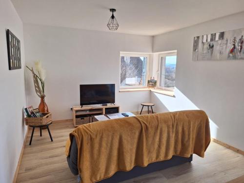 Gite authentique au coeur de Blavozy avec piscine privée, jacuzzi et terrain de pétanque (Gite authentique au coeur de Blavozy avec piscine privee, jacuzzi et terrain de petanque) in 布拉瓦濟