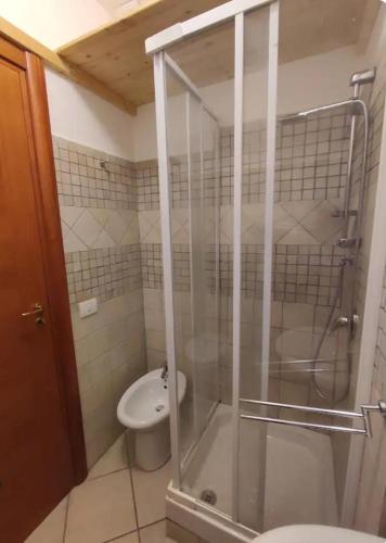 Parrot Room - Camera a Roma con bagno privato 2