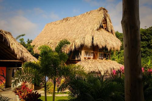 Навколишнє середовище, Encanto Hostel in Guachaca