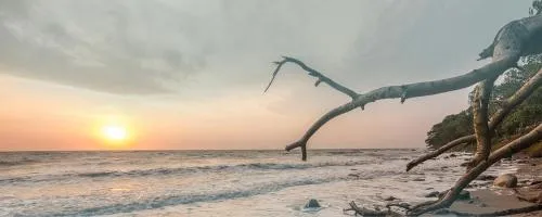 Meeresrauschen - direkt am Meer in Staberdorf, Deutschland
