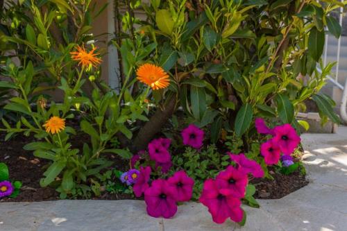 Apartment Luna i Lucky