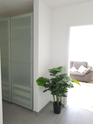 Apartment by Janzen (O) - [#76267] - image 12